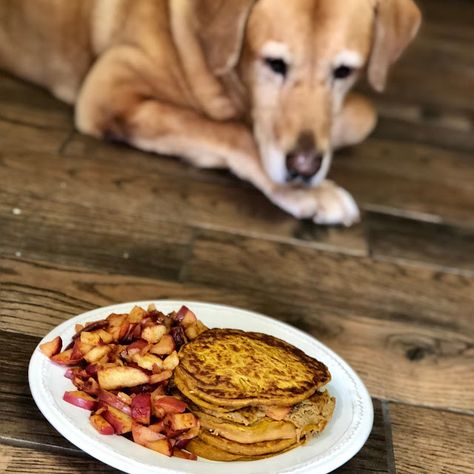 Pumpkin Pancakes For Dogs, Doggie Pancakes, Dog Pancakes Recipes, Dog Pancakes, Pancakes For Dogs, Cat Breeding, Pumpkin Pancake Recipe, Pumpkin Breakfast, Her Royal Highness