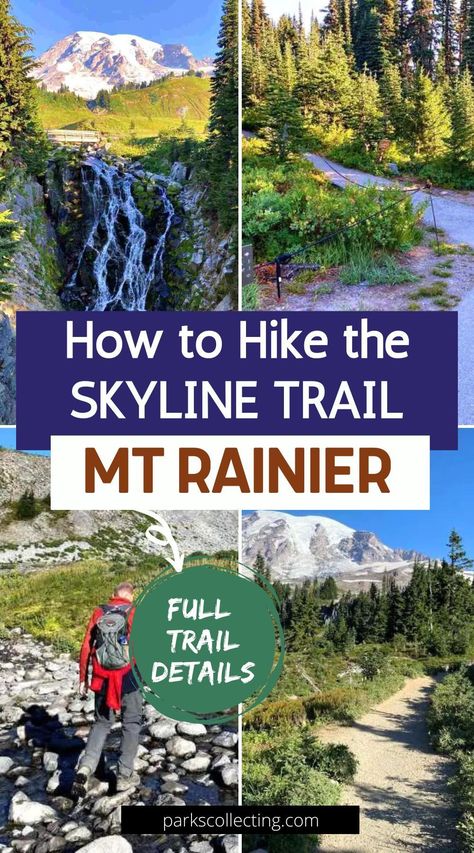 Hiking Usa, National Park Hikes, Mt Rainier National Park, Hiking National Parks, National Park Road Trip, Hiking Guide, Mount Rainier National Park, Usa Travel Guide, Mt Rainier