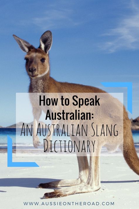 Australia Slang, Improve English Writing, Australian Slang, Study In Australia, College Student Hacks, Australia Immigration, Australia Vacation, Improve English, Survival Life Hacks