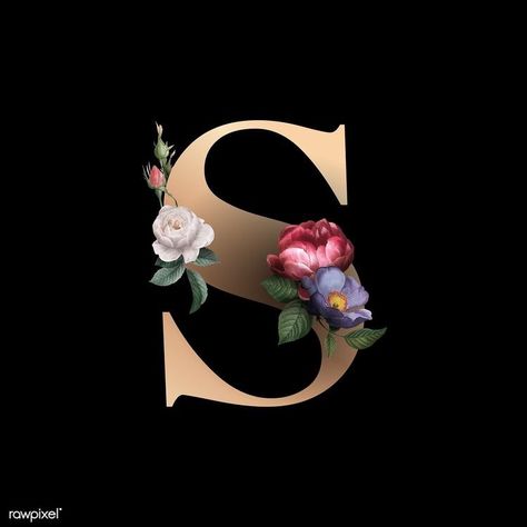 S A Logo, Letters S, David Zinn, S Letter Images, Stylish Alphabets, Alphabet Font, S Love Images, Floral Alphabet, S Letter