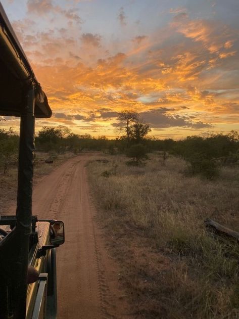 Ngong Hills Kenya, Farm South Africa, Kenya Aesthetic, 2025 Vison, Africa Aesthetic, African Safari Animals, South Africa Vacation, Africa Holiday, Africa Vacation