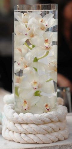 Orchids | Flickr - Photo Sharing! Nautical Wedding Centerpieces, Centerpieces Simple, Nautical Centerpiece, Nautical Wedding Theme, Tafel Decor, Beautiful Wedding Flowers, Centerpieces Wedding, Flower Centerpieces Wedding, Nautical Wedding