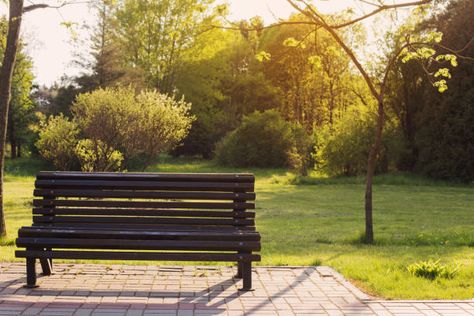 357 Summer Park Wooden Benches And Sunrise Stock Photos, Pictures & Royalty-Free Images - iStock Bench Background, Park Bench Ideas, Bench Aesthetic, Park Reference, Urban Reference, Bench In Park, Wooden Park Bench, Cartoon Garden, Park Background