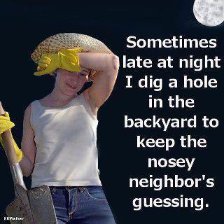 Sometimes late at night I dig a hole in the backyard to keep the nosey neighbor's guessing. Nosey Neighbors, Garden Quotes, Funny Captions, Glass Garden, E Card, Quotes Funny, Bones Funny, Make Me Smile, At Night