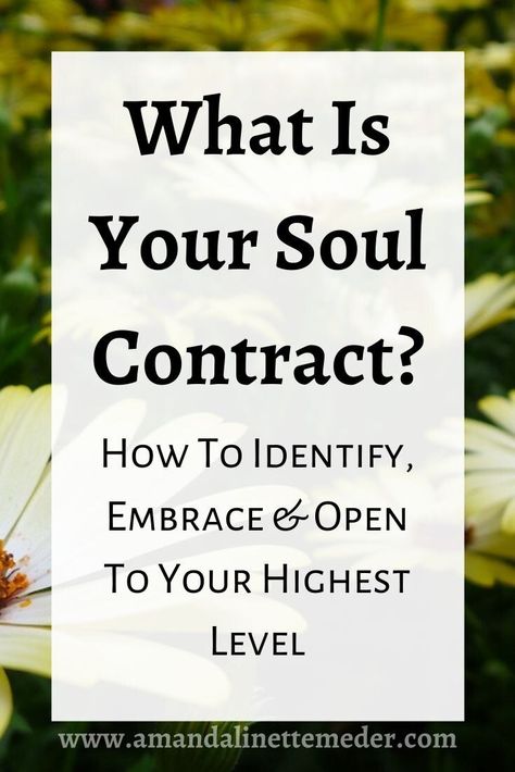 Occult Library, Soul Group, Soul Contracts, What Is A Soul, Soul Awakening, Soul Retrieval, Field Journal, Higher Purpose, Womb Healing