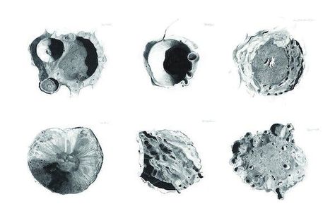 Moon Craters, Space Concept Art, Apollo 16, Astronomical Observatory, 20th Century Women, Space Concept, London University, Concordia University, Nasa Images