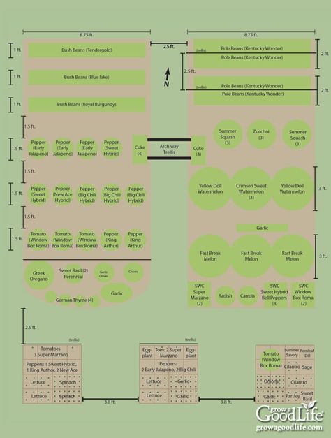 Deer Resistant Garden, Vegetable Garden Beds, Garden Watering System, Garden Problems, Vegetable Garden Planner, Garden Site, Garden Layout Vegetable, Garden Labels, Vegetable Garden Planning