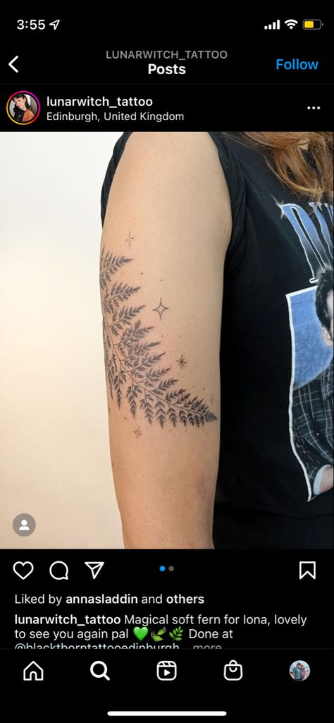 Fern Drawing Tattoo, Fern Wrapped Around Arm Tattoo, Fern Wrist Wrap Tattoo, Fern And Poppy Tattoo, Fern Line Tattoo, Fern And Wildflower Tattoo, Delicate Fern Tattoo, Lady Fern Tattoo, Fern Fine Line Tattoo