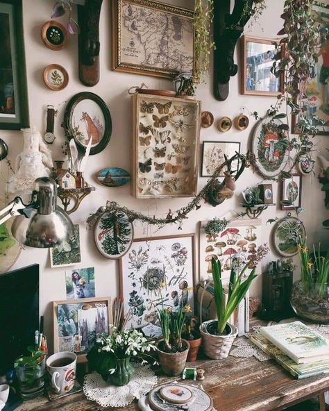 Hobby Display Ideas, Retro Boho Cottagecore, Goblincore Apartment Decor, Goblincore House Decor, Apothecary Decor Bedroom, Goblincore Wall Decor, Witchy Apartment Ideas, Witchy Craft Room, Witch Aesthetic Living Room