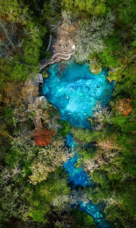 Tips for Ichetucknee Springs State Park: A Natural Lazy River in Florida - Florida Trippers Falling Waters State Park Florida, Ichetucknee Springs State Park, Lake Louisa State Park Florida, Ichetucknee Springs Florida, Florida Places To Visit, Southern Getaways, Ruskin Florida, Crystal River Florida, Disorder Quotes