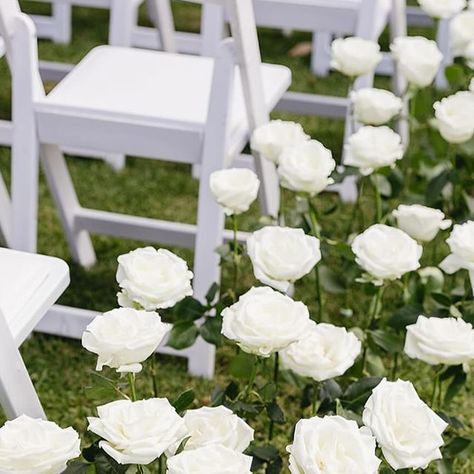 White rose aisle. Pop up garden aisle. Country glam wedding. White garden wedding Roses Down The Aisle, White Rose Aisle, Country Glam Wedding, Rose Aisle, White Garden Wedding, Ceremony Styling, Country Glam, White Roses Wedding, Wedding Altars