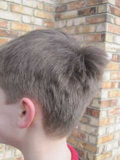 How to fix your little boy's turkey tail/cow lick/swirl Cowlick Hairstyles, Baby Boy Haircut, Hair Stages, Useless Facts, Kids Haircuts, April Rose, Toddler Haircuts