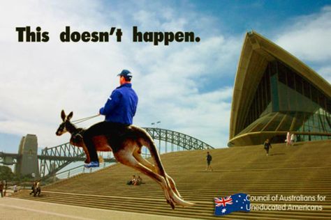 Aussie Memes, Funny Australian, Unusual Animals, Australia Day, Kids Diet, Lush Green, Western Australia, Just In Case, Kangaroo