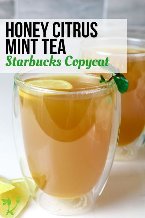 Copycat Honey Citrus Mint Tea, Honey Citrus Mint Tea Recipe, How To Make Starbucks Honey Citrus Mint Tea, Starbucks Copycat Honey Citrus Mint Tea, Starbucks Citrus Mint Tea, Lemon Green Tea Recipe, Starbucks Honey Citrus Mint Tea Recipe, Flavored Green Tea Recipes, Honey Citrus Mint Tea Starbucks