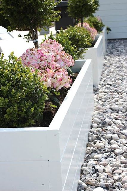 White painted raised beds surrounded by gravel, lovely. White Raised Beds, White Raised Garden Beds, Planter Box Garden, Box Hedge, Crushed Granite, Raised Flower Beds, House White, Meteor Garden 2018, Magic Garden