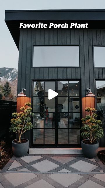 Brooke Christen on Instagram: "My favorite porch plant….Boxwoods!! I put together my favorite pots for outdoors, fertilizer and more… comment GROW!! Boxwoods come in many species and shapes! These are Japanese Boxwoods 🪴Why I love boxwoods on my porch🪴 #1- Drought-tolerant aka they forgive you if missing a watering #2- Do well in both full & partial sun #3- They can survive the winter in pots  We live in Utah (zone 5) and, we lived in Connecticut (zone 7) and potted boxwoods on my porch have done well in both areas! If we are having an extreme winter I make sure they are under a covered porch, and water weekly even in the winter. If we are having a very hot summer I water them twice a week. What’s your favorite plant for your porch???" Japanese Boxwood, Porch Plants, Backyard Garden Layout, Zone 7, Backyard Plants, Patio Planters, Zone 5, Patio And Garden, Garden Layout