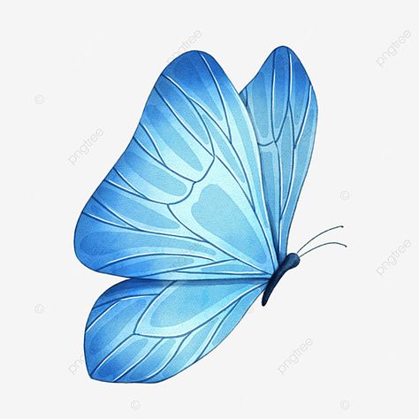 Blue Butterfly Wings, Butterfly Beautiful, Wings Png, Blue Png, Transparent Watercolor, Insect Wings, Poster Template Design, Butterfly Lighting, Butterfly Blue