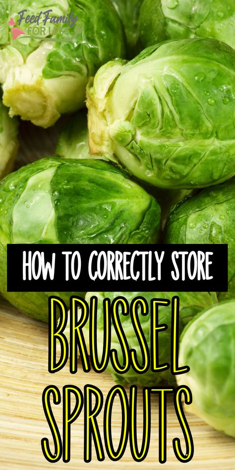 Preserving Fresh Brussel Sprouts, Preserve Brussel Sprouts, Freezing Fresh Brussel Sprouts, Fresh Brussels Sprouts Recipes, How To Store Brussel Sprouts, Cleaning Brussel Sprouts, Storing Brussel Sprouts, Canning Brussel Sprouts Not Pickled, Preserving Brussel Sprouts