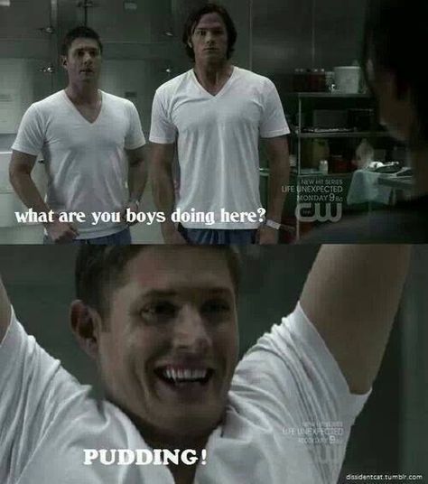 "PUDDING!" ~ Dean Winchester .. Jensen Ackles xD Supernatural Supernatural Scenes, Funny Supernatural, Ghost Whisperer, And So It Begins, Sam Dean, Winchester Boys, Weird Words, Supernatural Memes, Desperate Housewives