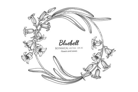 Bluebell Flower, Bell Art, Blue Bell Flowers, Flower Line Drawings, Flower Logo Design, Circle Drawing, Hand Bells, Flower Circle, Flower Logo