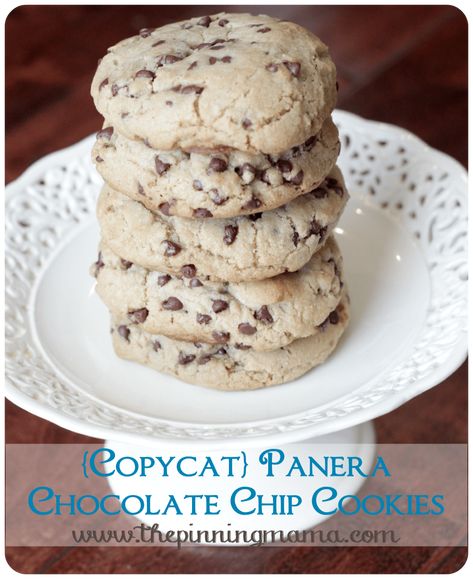 Panera Chocolate Chip Cookie Recipe, Copycat Chocolate Chip Cookies, Copycat Panera Bread, Panera Recipes, Panera Copycat, Peanut Butter Oatmeal Chocolate Chip, Peanut Butter Oatmeal Chocolate Chip Cookies, Chewy Chocolate Chip Cookies Recipe, Copycat Panera