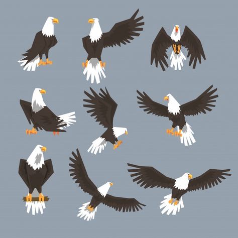 Bald Eagle Images, Eagle Image, Side View Of Face, Bald Eagle Flying, Eagle Cartoon, Eagle Illustration, Cartoon Silhouette, Eagle Face, Background Grey