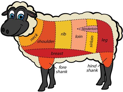 Meat Sheep, Blade Steak, Minute Steak, Ag Projects, Butcher Diagram, Lamb Cuts, Show Animals, 3d Geometric Shapes, Homestead Recipes