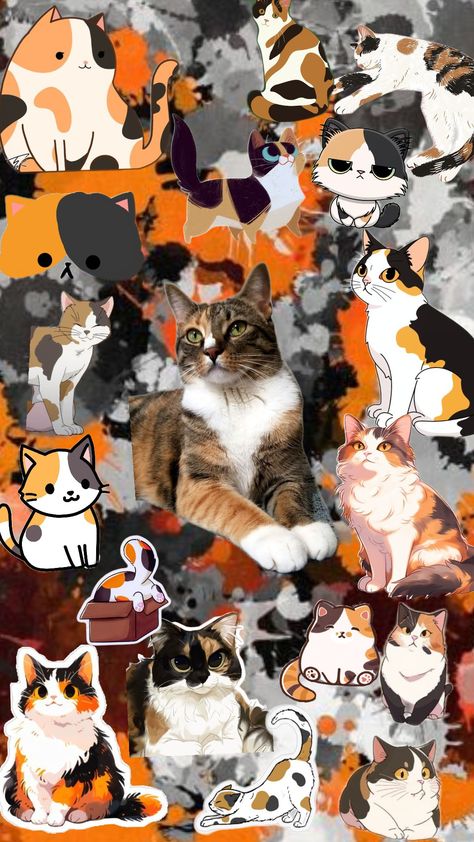 Calico Cat Therian Wallpaper *comment your theriotype and I'll make it into a wallpaper* Calico Cat Wallpaper Cartoon, Therian Wallpaper Calico Cat, Calico Cat Wallpaper, Calico Cats, Maybe In Another Life, Calico Cat, Cat Wallpaper, Cute Animal Photos, Cat Pattern