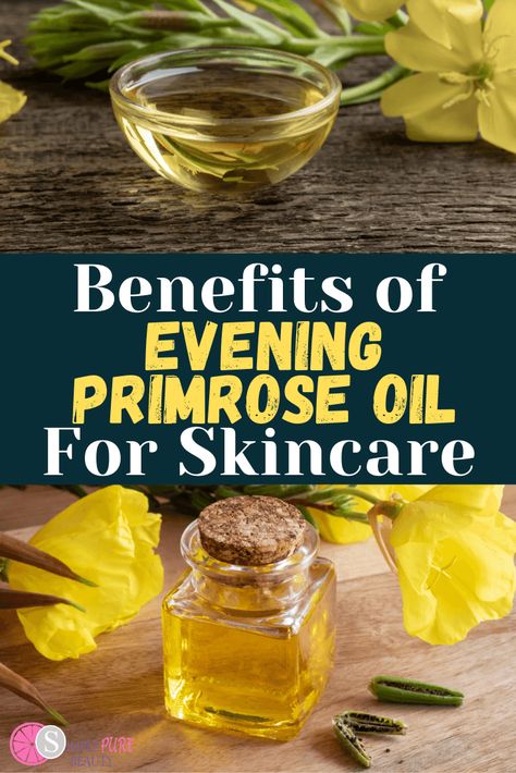 Evening Primrose Oil has many benefits for skin; it is an emollient that hydrates and protects skin from damage. It can help skin that is dry and irritated. It’s high concentration of omega fatty acids can help heal skin as well. Evening Primrose Oil can also help fight premature signs of aging and sooth skin experiencing soreness or irritation. Evening Primrose Oil Benefits Skin, Evening Primrose Oil Benefits Woman, Primrose Evening Oil, Evening Primrose Benefits, Prim Rose Oil Benefits, Primrose Oil Benefits, Benefits Of Evening Primrose Oil, Benefits Of Evening Primrose, Evening Primrose Oil Benefits