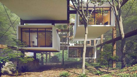 China Forest, Box Architecture, Tropical Architecture, Independent House, Mid Century Architecture, Timber Structure, Casa Container, Timber House, Main Idea