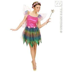 Rainbow Fairy - Adult Fancy Dress Costume: Amazon.co.uk: Toys & Games Stag Fancy Dress, Male Fairy, Colourful Dress, Mens Fancy Dress, Plus Size Costume, Fairy Outfit, Rainbow Fairies, Drag Queens, Fairy Costume