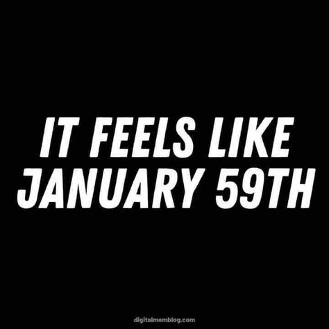 January Memes 2024: Most Popular Images to Start the Year Funny Minion Memes, Hello January, Popular Images, Dry January, Healthy Hair Journey, New Year New You, Birthday Meme, Work Memes, Mom Blogs