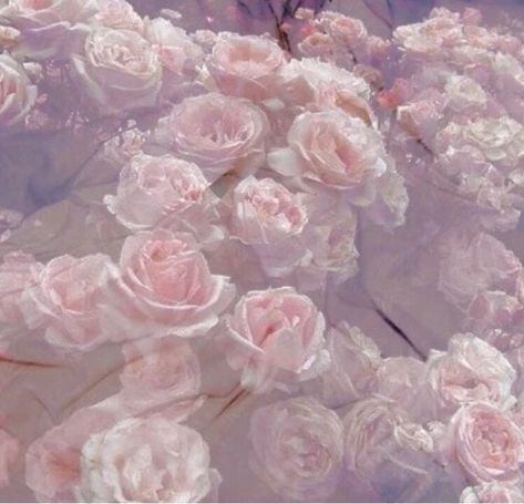 🌸   #flowers #pink #purple #soft #aesthetic #freetoedit Flora Flowers, Plants Are Friends, Pastel Roses, Fairy Aesthetic, Soft Aesthetic, No Rain, Purple Aesthetic, Pastel Aesthetic, Pink Aesthetic