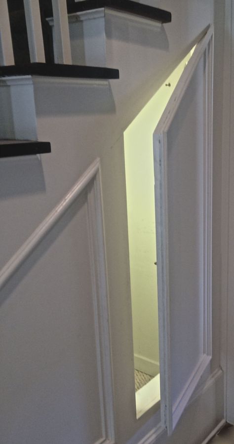 Door Under Stairs, Stairway Storage, Hidden Doors In Walls, Room Under Stairs, Space Under Stairs, Closet Under Stairs, Hidden Closet, Hidden Room, Pet Room