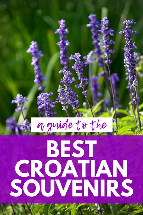 Looking for the best #Croatian #souvenirs and gift ideas? Here are our picks for the best souvenirs from #Croatia, including Croatian souvenirs for her or him, #gifts for children, and where to find Croatian souvenirs online. #travelcroatia #europetravel #easterneurope #shopping #eurotrip #markets #croatiatravel #bucketlist Croatian Souvenirs, Croatia Souvenirs, Bucket List Europe, Amsterdam Vacation, Greece Cruise, Best Souvenirs, Travel Croatia, Croatia Vacation, Balkans Travel