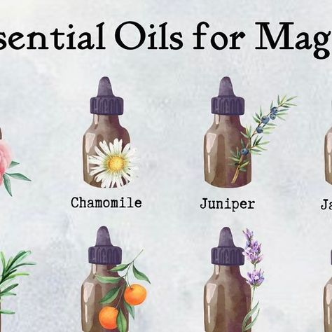 Alice Kendall on Instagram: "Essential oils for magick and spells   Here’s my guide to essential oils that can be used in your magical practices and spellwork. Which are your favourites? Swipe through for more details of the magickal properties of the oils…🌿🌻🍃 Content and graphic design @starlightandsage_  Follow @starlightandsage_ for more witchy and magical content...  #essentialoils #essentialoilsformagick #magicalherbs #greenwitchcraft #greenwitch #witchesapothecary #herbsforspells #herbsforhealing #herbalist #magicherbs #witchcraftspells #spellcasting #magicalplants #witchyinfo #witchytips #witchythings #witchesofinstagram #witchesofig" Magick Oil, Green Witchcraft, Magic Herbs, Magical Herbs, Candle Magick, Witchcraft For Beginners, Pagan Witch, Viking Runes, Creative Content