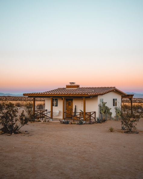 Introducing the Cabin, our newest place to stay in Joshua Tree! Homestead Cabin, Modern Desert Home, Joshua Tree House, Built In Sofa, Bedroom Nook, Cabin Bedroom, Modern Desert, Knotty Alder, Off Grid Solar