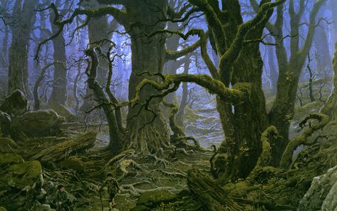 Fangorn Forest Ted Nasmith, Fangorn Forest, Tolkien Illustration, Hobbit House, Fantasy Forest, Classic Paintings, Tree Illustration, Fantasy Artist, Environmental Art