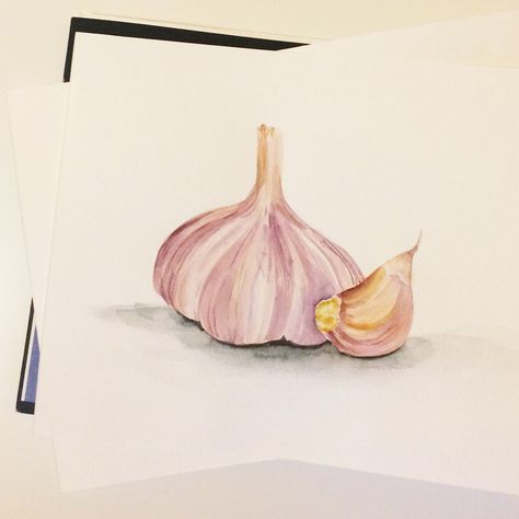 Garlic Sketch, Watercolor Garlic, Garlic Drawing, Garlic Painting, Fruit Watercolor, Painting Pottery, Beginners Painting, Water Poster, Object Drawing