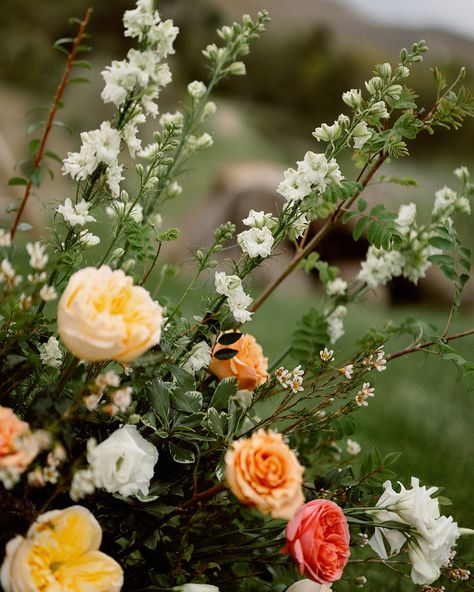 give us larkspur and lisianthus alllllll day. 🌿 photography: @kaylaluciophoto planning: @driftwoodpointevents venue: @stone_crossing #idahowedding #weddingflowers #weddingflorist #idahoweddingflorist #floraldesign #summerflowers Larkspur Bouquet, Larkspur Wedding, Day Photography, Wedding Florist, Summer Flowers, Wedding Flowers, Floral Design, Stone, Photography