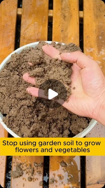 Soil For Plants, Amazing Garden Ideas, Flower Fertilizer, Plant Hacks, Gardening Plants, Home Gardening, Garden Soil, Growing Flowers, Amazing Gardens