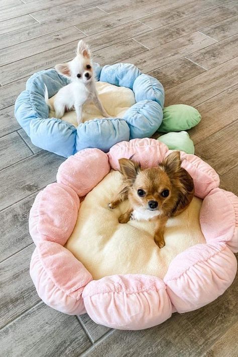 Dog Bed Aesthetic Pink, Cottagecore Dog Bed, Small Dog Ideas, Flower Dog Bed, Flower Cat Bed, Cute Cat Beds Aesthetic, Cute Dog Beds For Small Dogs, Cute Things For Dogs, Cute Dog Things