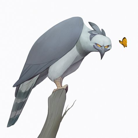 ArtStation - Harpy Eagle!, Arjun Somasekharan Harpy Eagle, Eagle Pose, Httyd Art, Cartoon Birds, Animated Animals, Basic Drawing, Cartoon Sketches, Art Tools Drawing, Animal Sketches