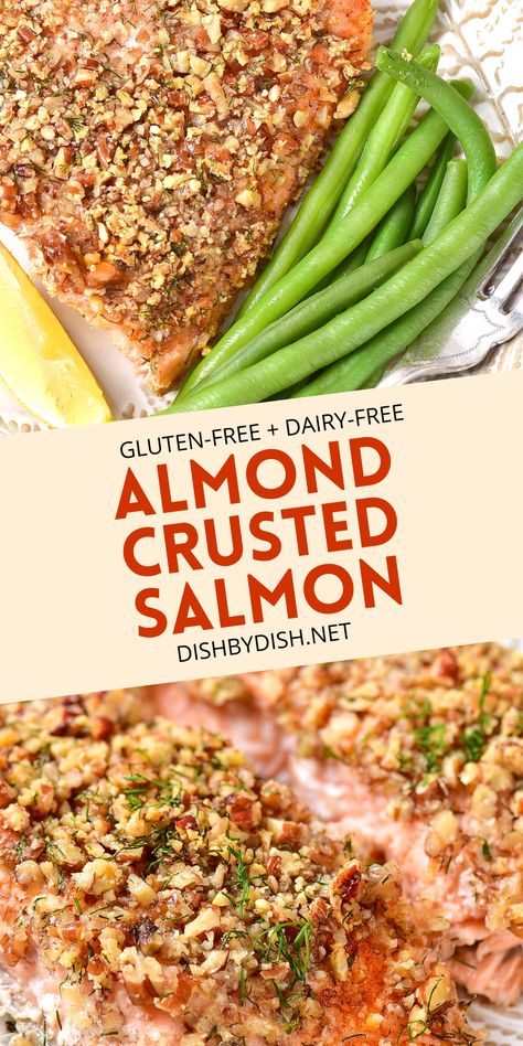 Collage of images of almond crusted salmon. Baked Salmon Dairy Free, Nut Crusted Salmon Recipes, Fish Almondine Recipe, Salmon Recipes Gluten Free, Dairy Free Salmon Recipes, Gluten Free Salmon Recipes, Celiac Meals, Gluten Free Fish Recipes, Recovery Meals