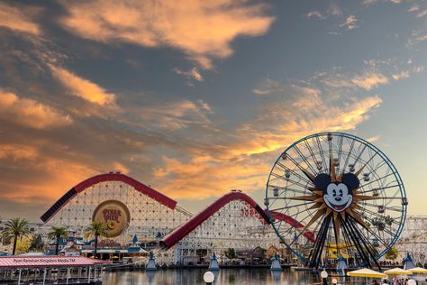 BREAKING:+Disneyland+Resort+Expansions+and+More! Disneyland Roller Coaster, Adventure Parks, Disney California Adventure Park, California Adventure Park, Tokyo Disney Sea, Fairy Friends, Downtown Disney, Disneyland Park, Disney Planning