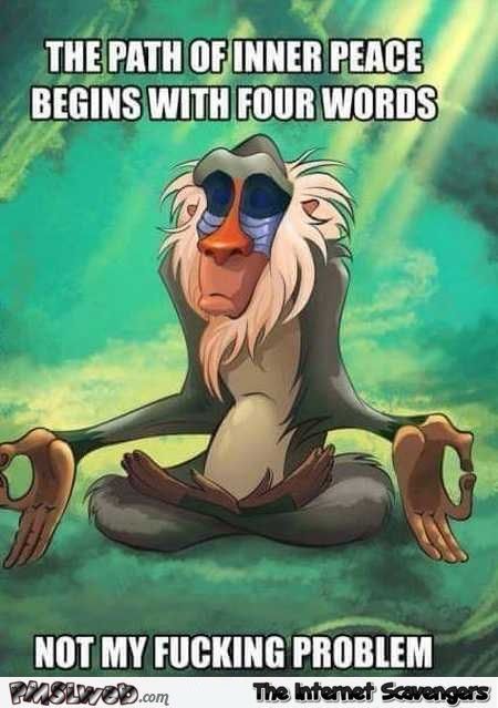 don't give a f*ck A Monkey, I'm With The Band, Disney Quotes, E Card, Work Humor, Bones Funny, Movie Quotes, Inner Peace, True Stories