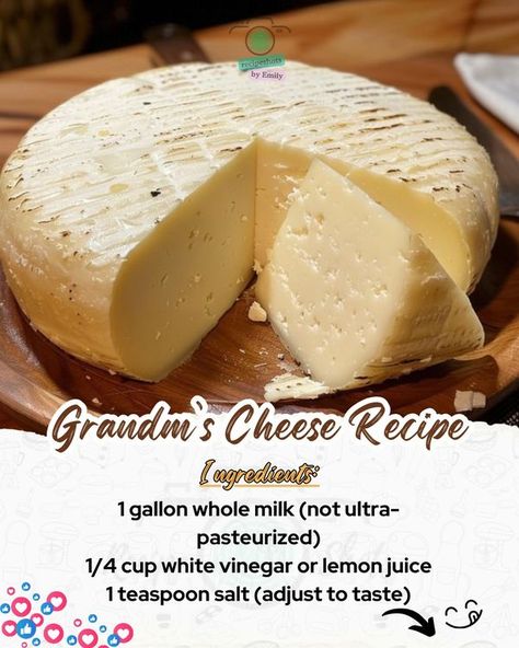 Emily Recipes - Rediscover the art of cheese-making with... How To Make Cheddar Cheese, Diy Cheese, Recipes With Whipping Cream, Cheese Making, Whip Cream, Homemade Cheese, How To Make Cheese, Cheese Recipes, Cheddar Cheese