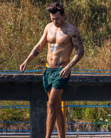 Harry Styles Out on a swim In London 2023 Harry Styles Butterfly, Harry Styles Shirtless, Harry Styles Tattoos, Harry Styles Hot, Taylor Russell, Hampstead Heath, Harry Styles Wallpaper, Toned Abs, Harry Styles Pictures