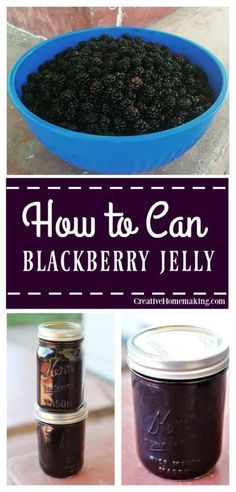 Blackberry Jelly Recipe, Canning Blackberries, How To Make Jelly, Canning Fruit, Blackberry Recipes, Canning Jam, Homemade Jelly, Jelly Recipe, Canning Tips