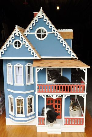 cat-dollhouse-3-front-300 Cats Relaxing, Cat Dollhouse, House Diorama, Miniature Shop, Cat Houses, House Cats, Nativity Scenes, Prince Edward County, House Cat